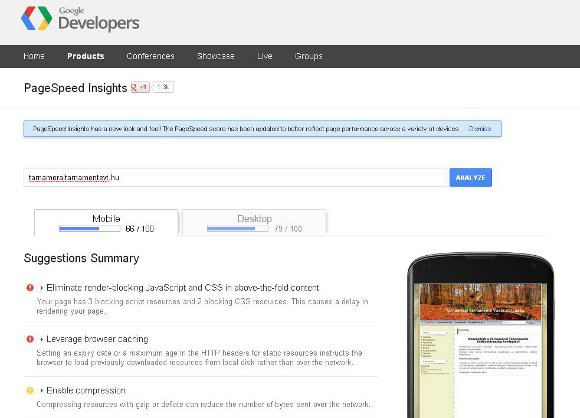 Google Page Speed Insights
